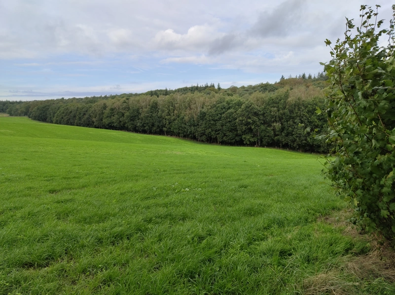 Duivelsberg1.webp