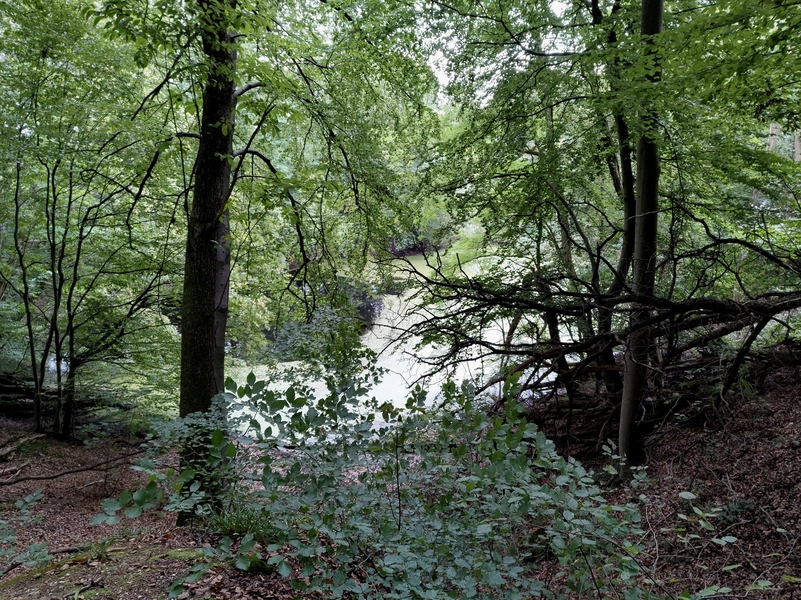Duivelsberg10.webp
