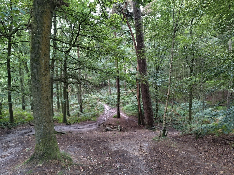 Duivelsberg2.webp