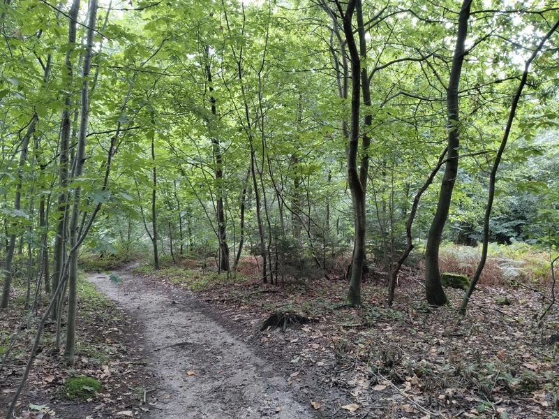 Duivelsberg3.webp
