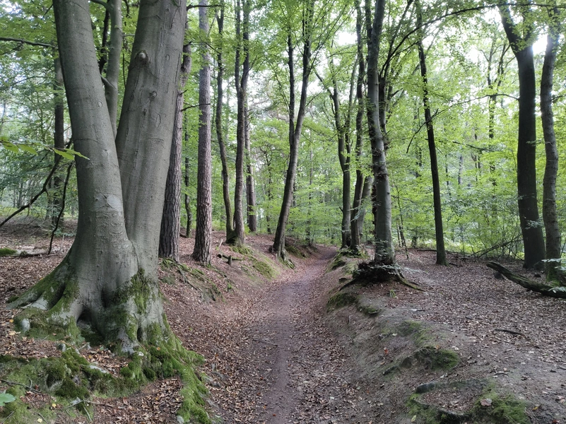 Duivelsberg4.webp