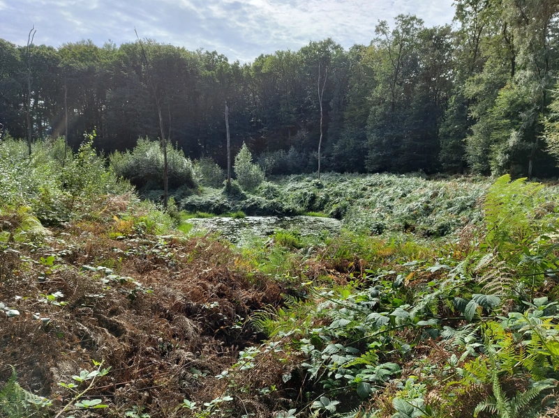 Duivelsberg5.webp