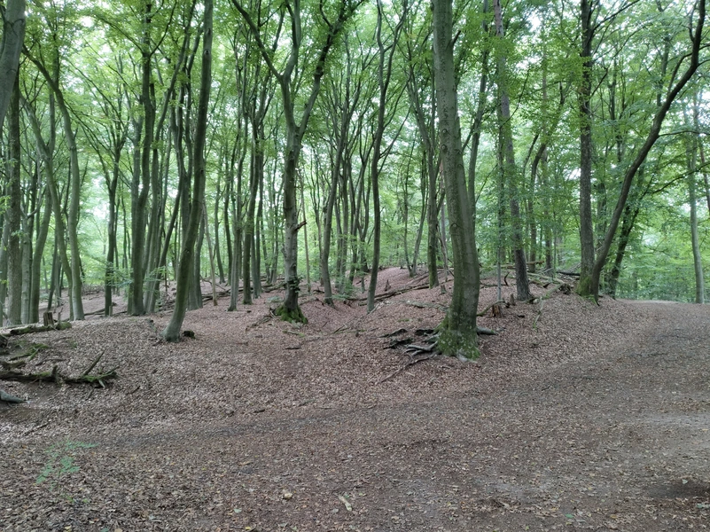 Duivelsberg7.webp