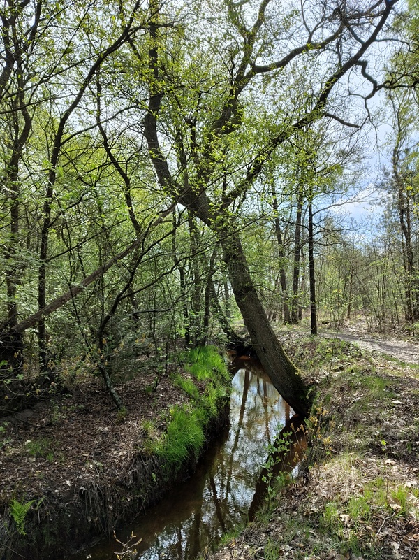 Kempen8.jpg