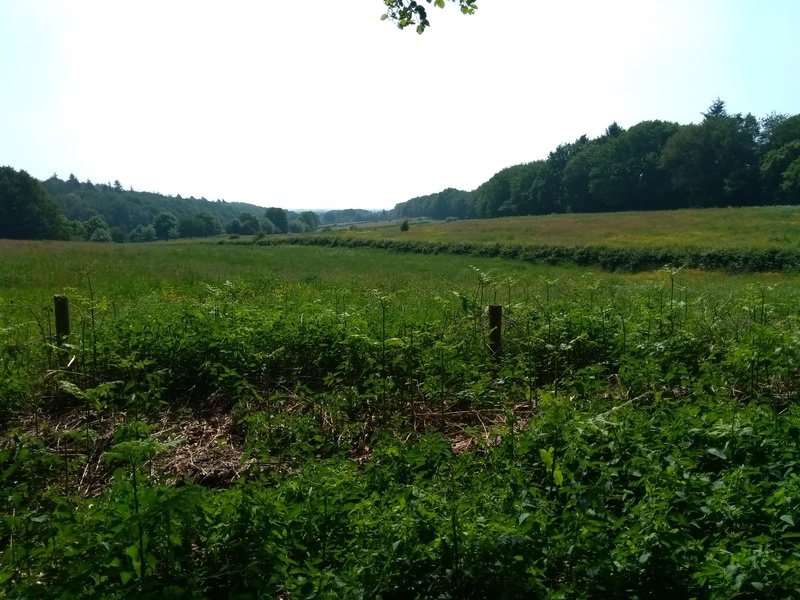 Molenhoek3.jpg