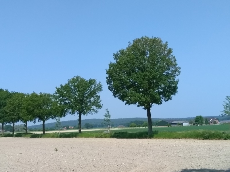 Molenhoek6.jpg