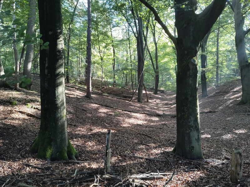 Mookerheide8.webp