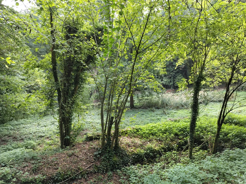Sint-Jansberg10.webp