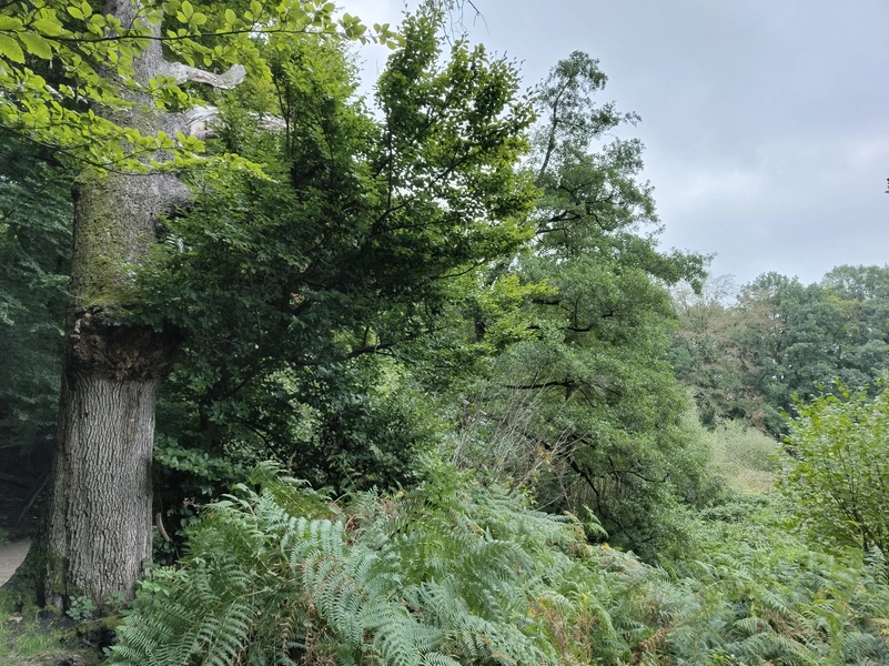 Sint-Jansberg4.webp