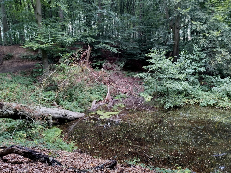 Sint-Jansberg8.webp