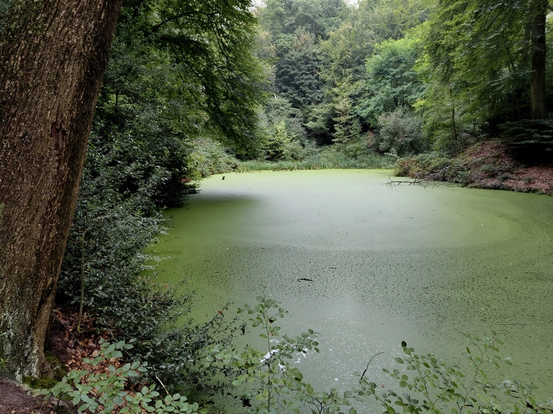 Sint-Jansberg9.webp