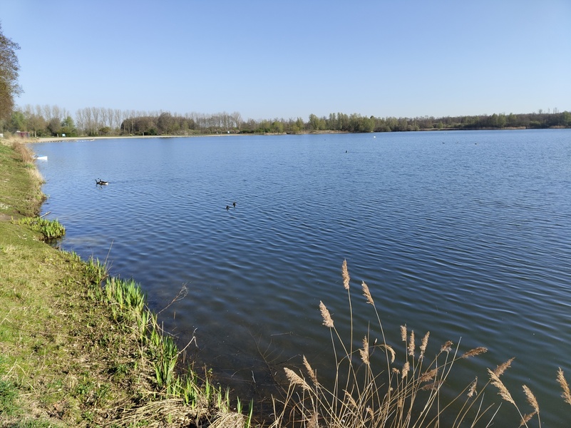 Prinsenbeek5.jpg