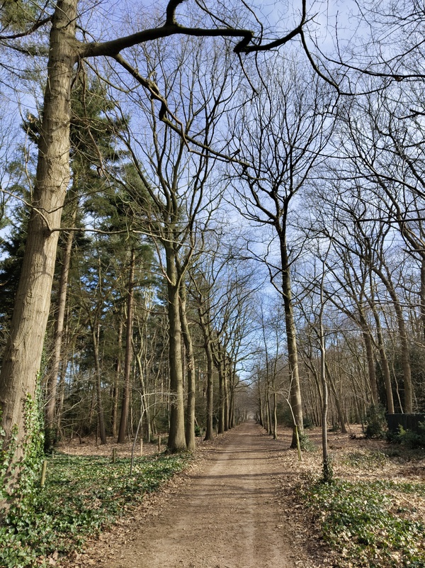 Sterbos1.jpg