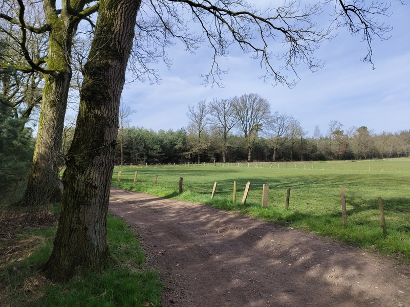 Sterbos4.jpg