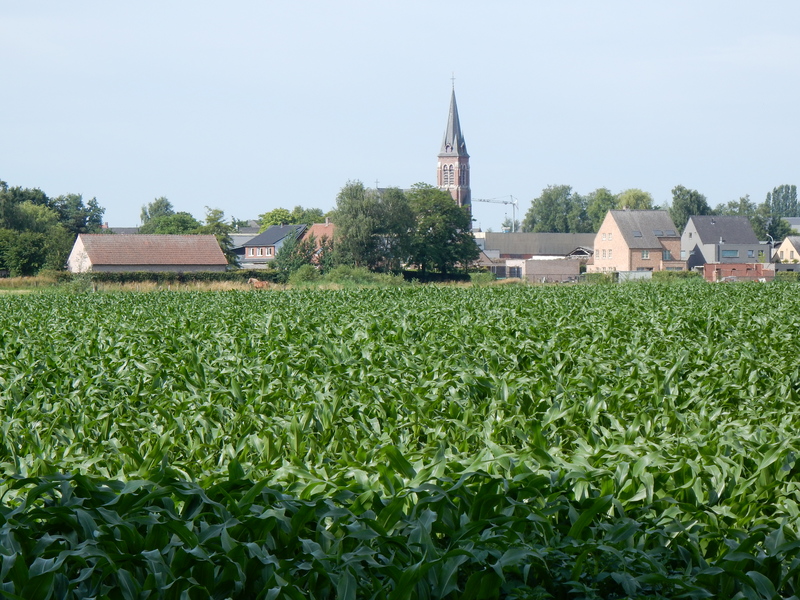 Zondereigen