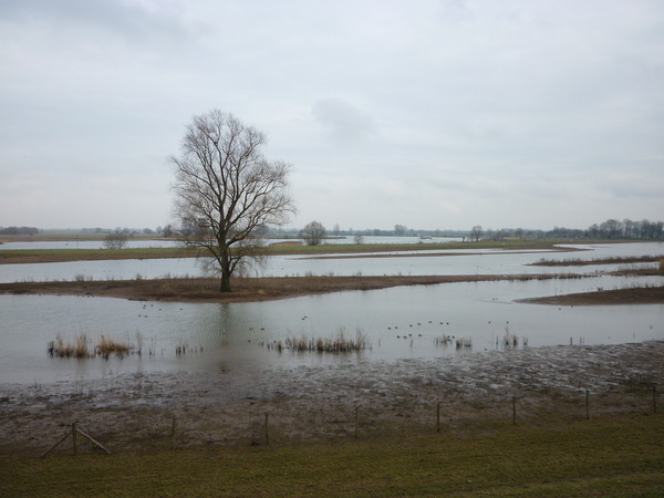 Meerkerk8.jpg