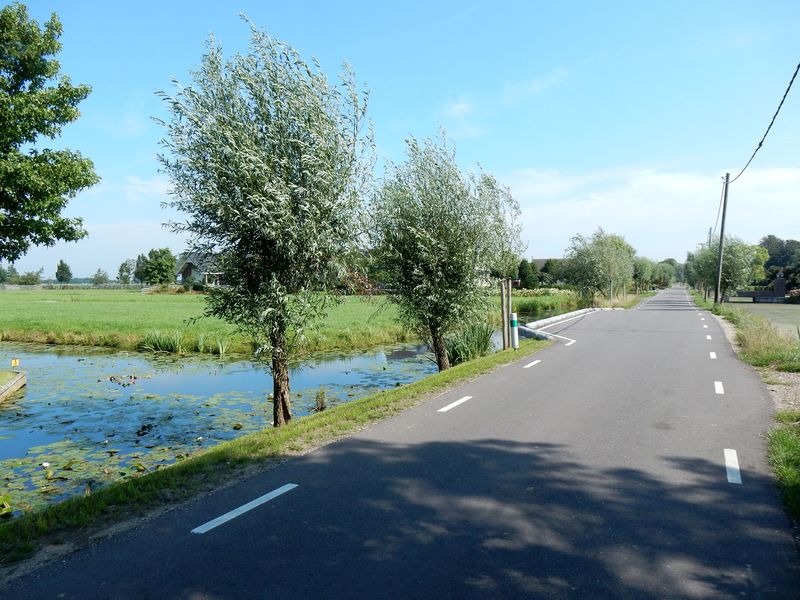 Stolwijk11.jpg