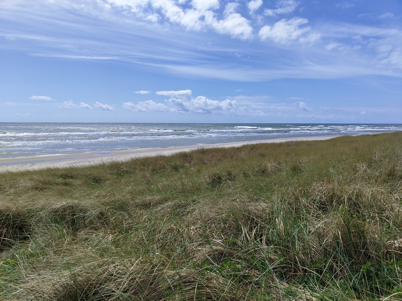 Sandhammaran12.jpg