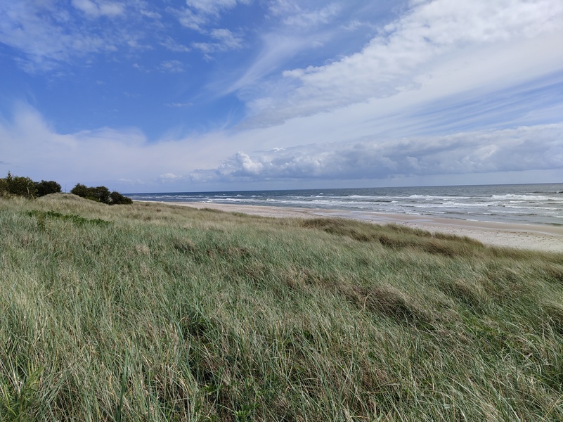 Sandhammaran13.jpg