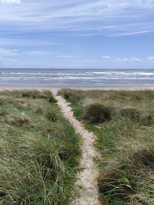 Sandhammaran14.jpg
