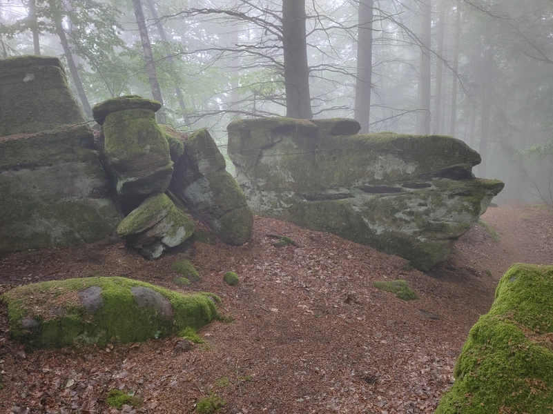 Hasselfurth10.webp