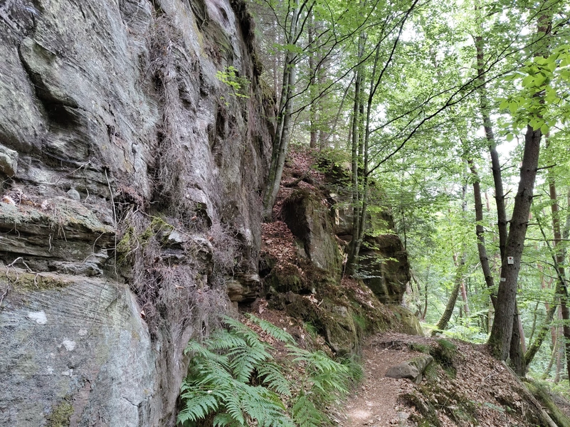 Lemberg11.webp