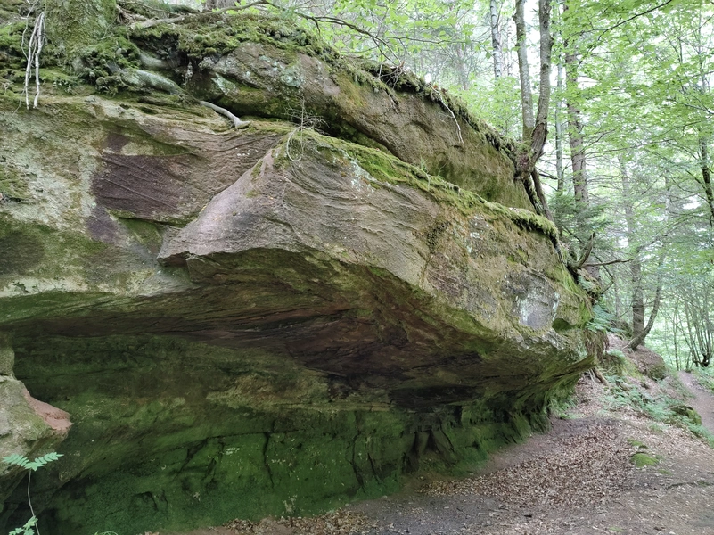 Lemberg12.webp