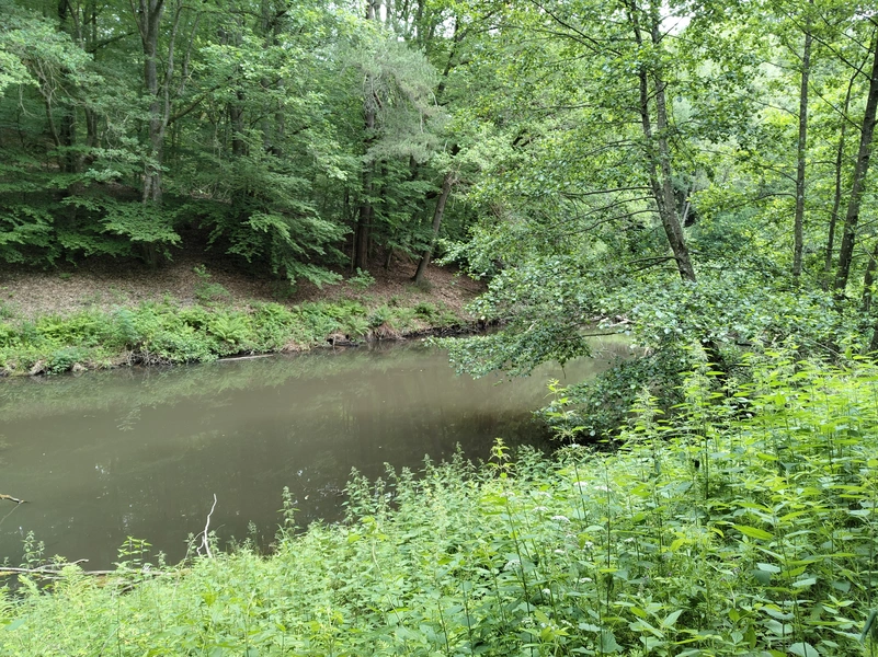 Lemberg14.webp