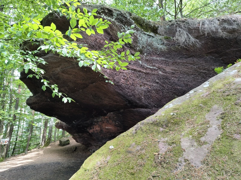 Lemberg6.webp
