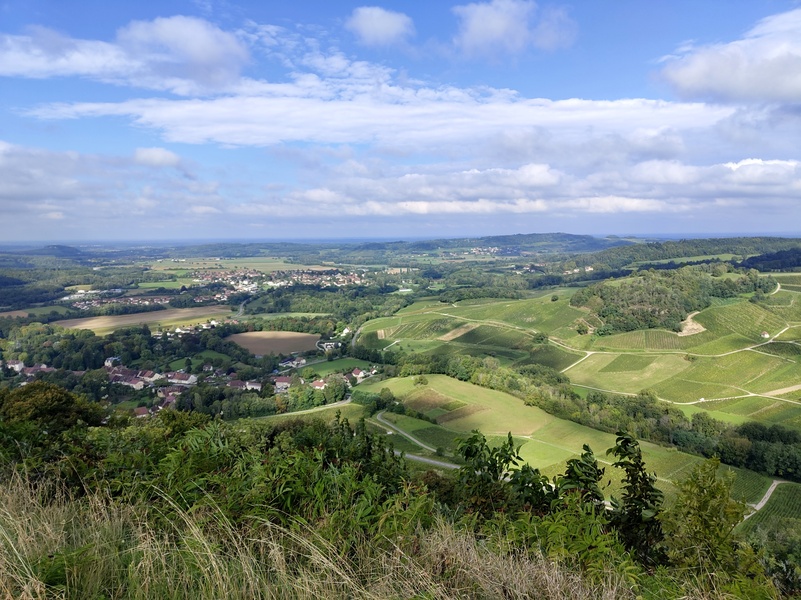 Menetru-le-Vignoble9.jpg