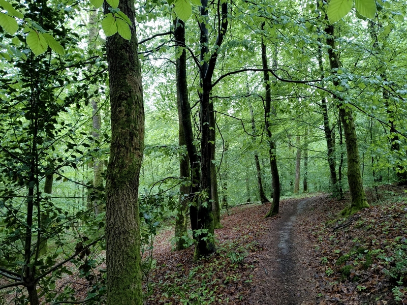 Monthermé
