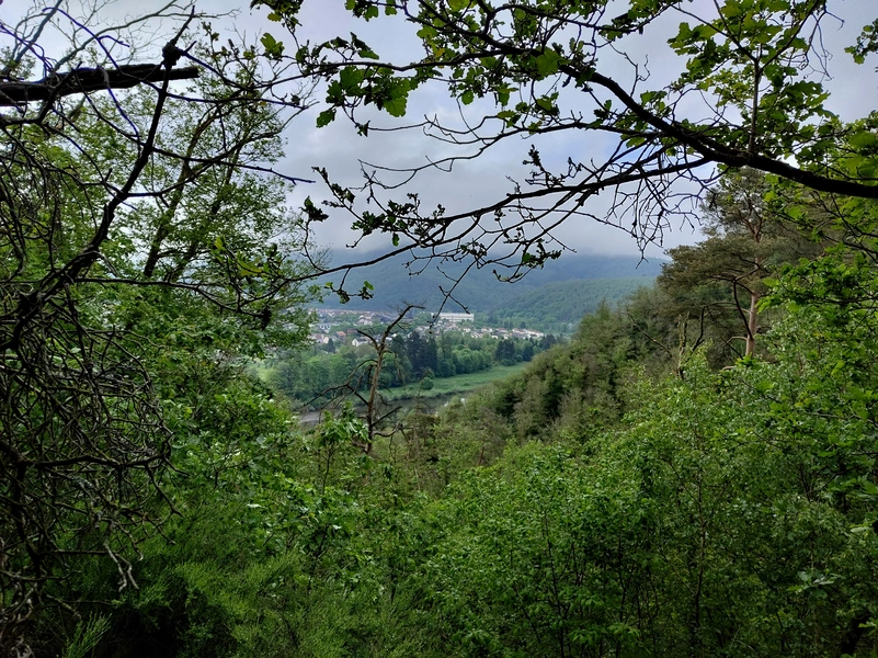 Revin5.webp