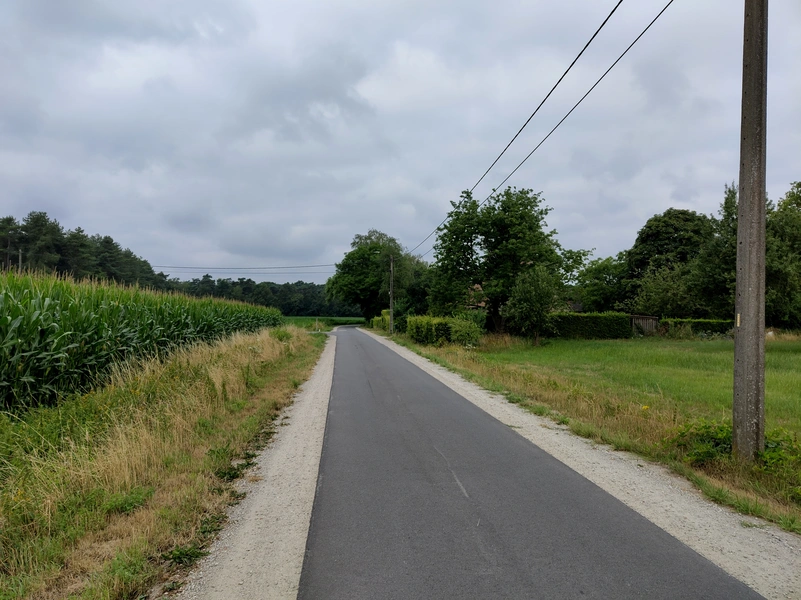 Laurabossen2.webp