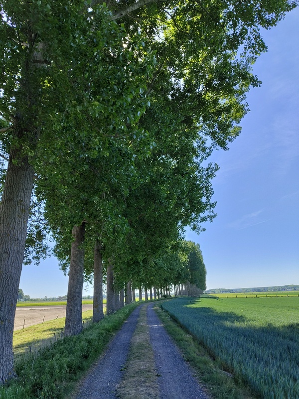 Sluis10.jpg