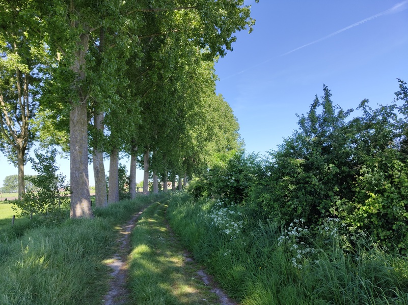Sluis11.jpg