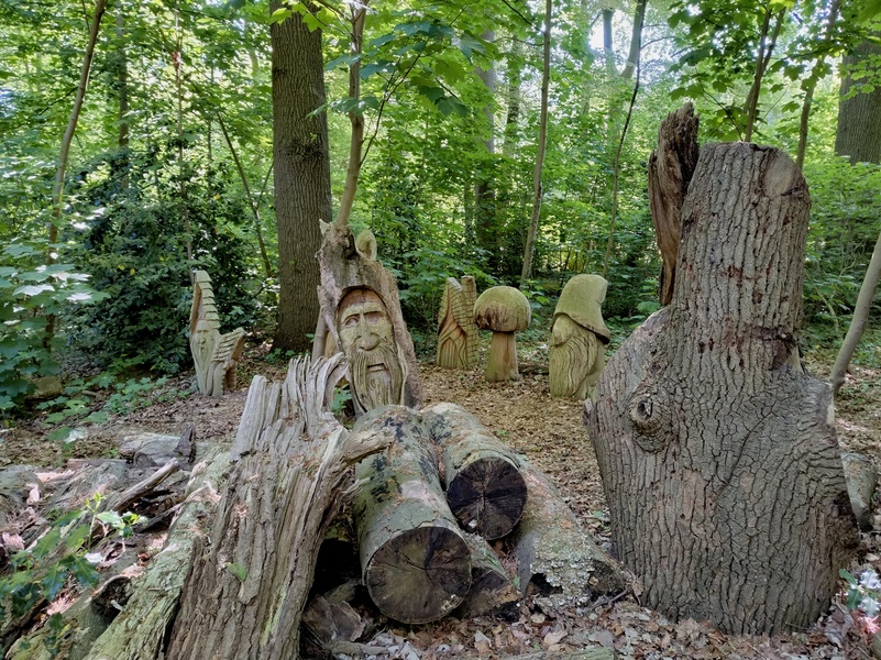 Sluis14.jpg