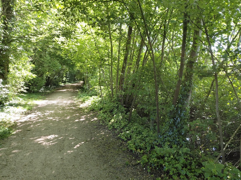 Sluis17.jpg