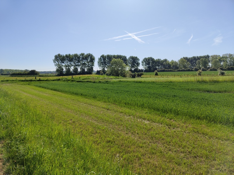 Sluis5.jpg