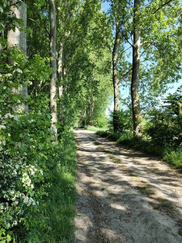 Sluis7.jpg