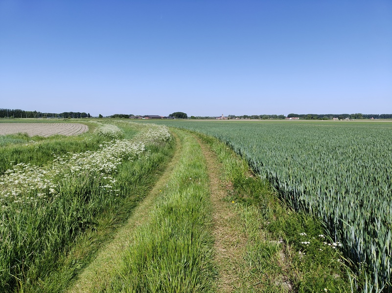 Sluis8.jpg
