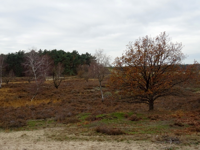 Giersbergen10.jpg