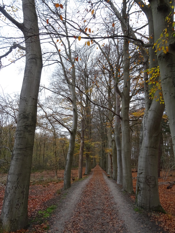 Giersbergen3.jpg