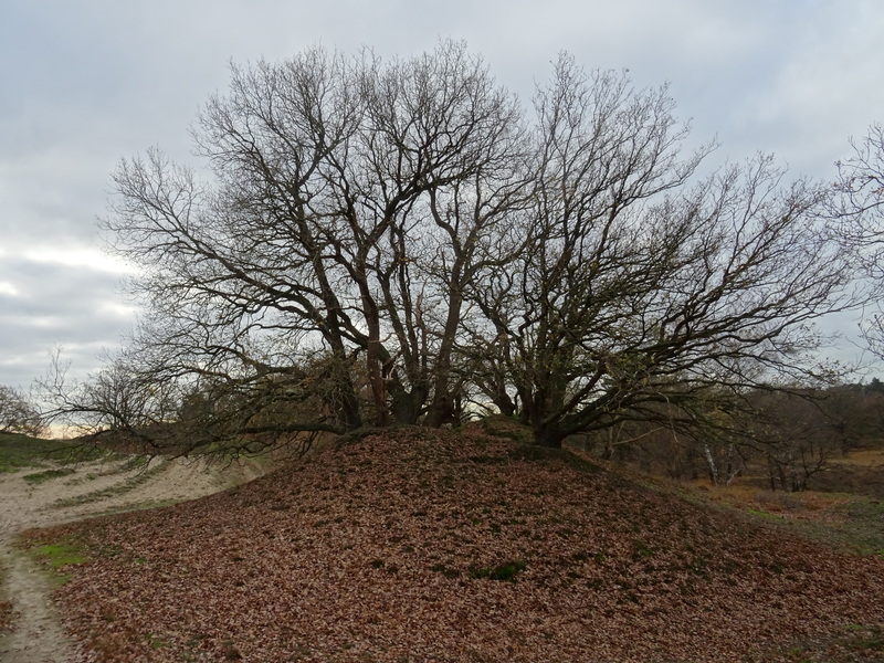 Giersbergen8.jpg