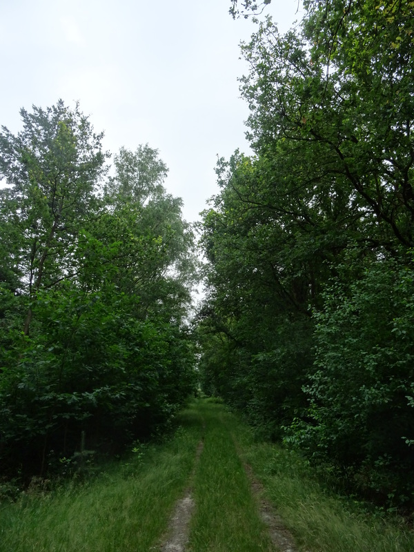 Leudal1.jpg
