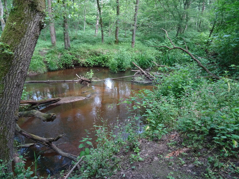 Leudal12.jpg