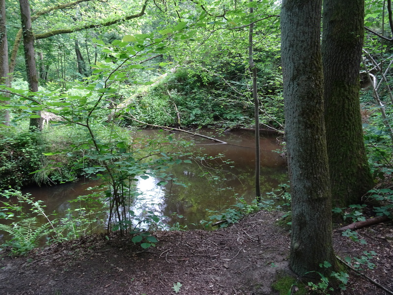 Leudal7.jpg