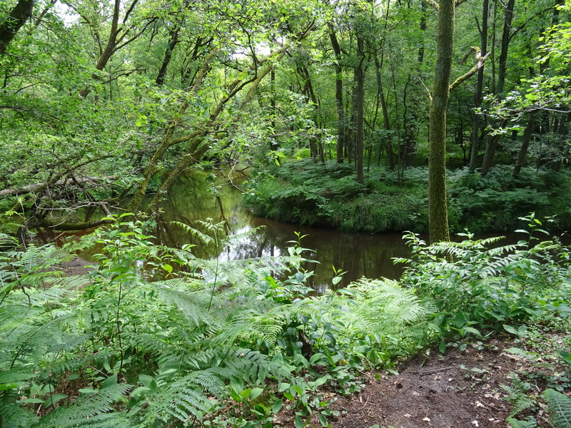 Leudal8.jpg