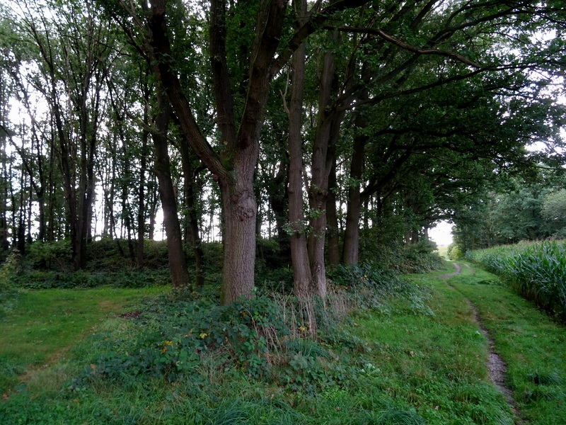 Roermond7.jpg