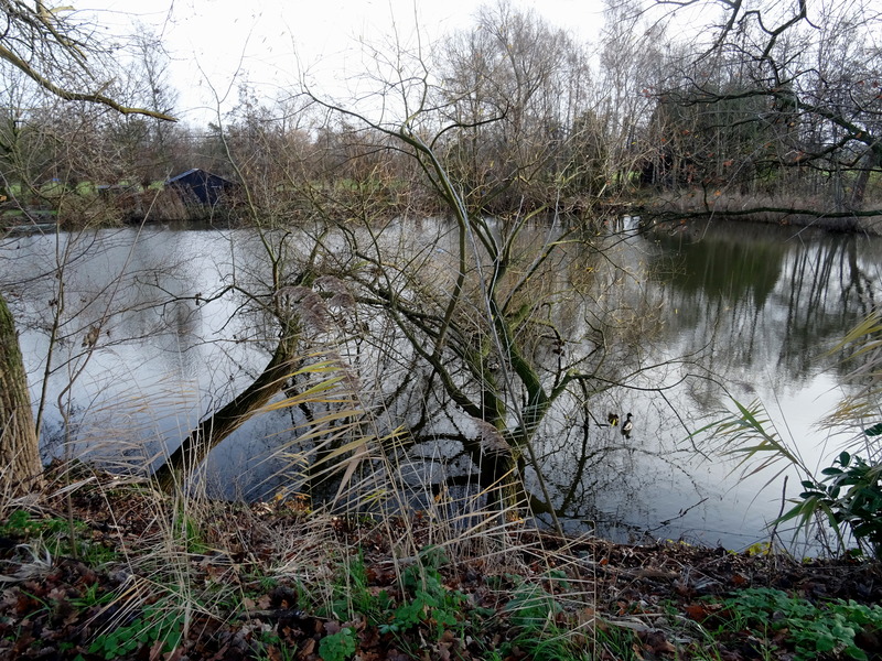Vught10.jpg