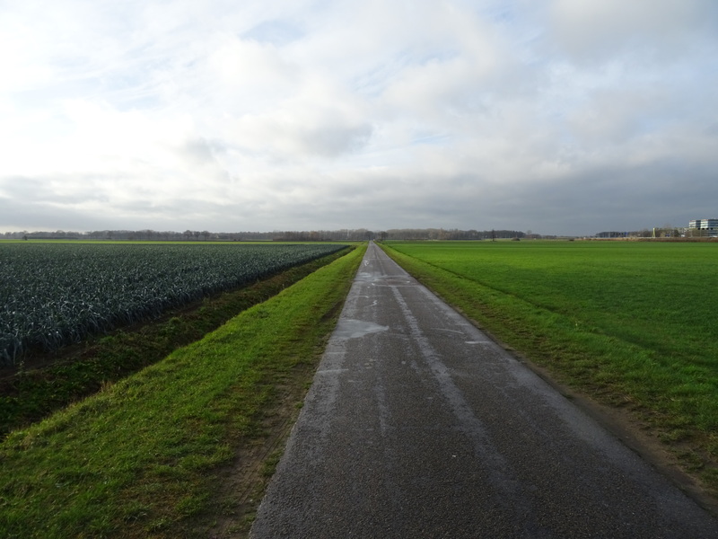 Vught12.jpg